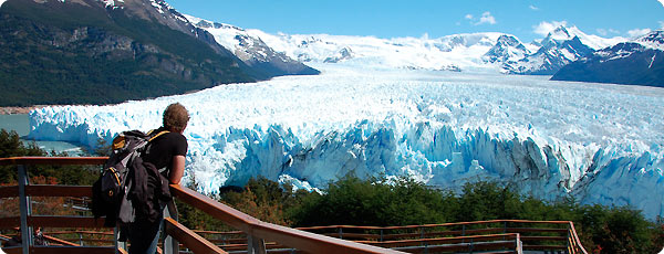 el-calafate[1]