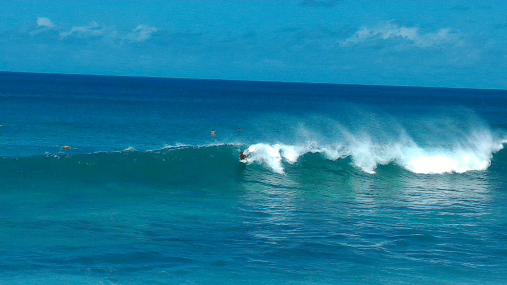 Oahu- Hawaii