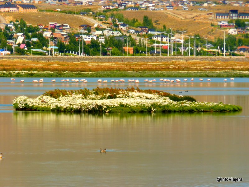 El_Calafate_Excursion_Sedimentos_Ingresando_Laguna_Nimez
