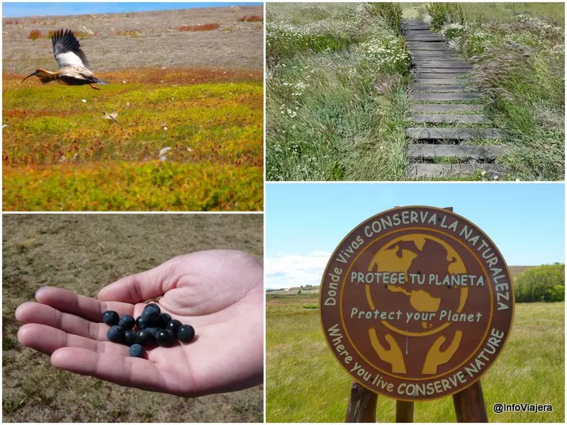 El_Calafate_Excursion_Sedimentos_Ingresando_Laguna_Nimez_Varios