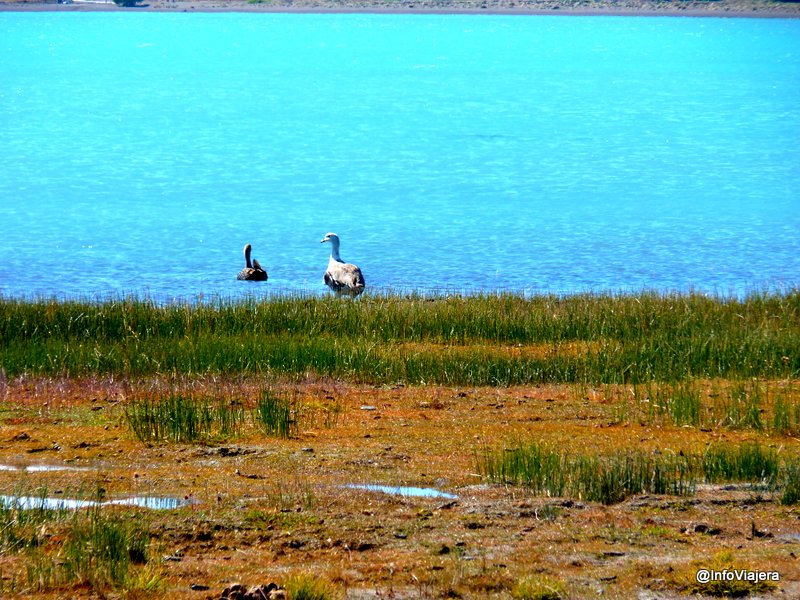 El_Calafate_Excursion_Sedimentos_Lacustres_Muelle_Caminando_sobre_La_Lengua