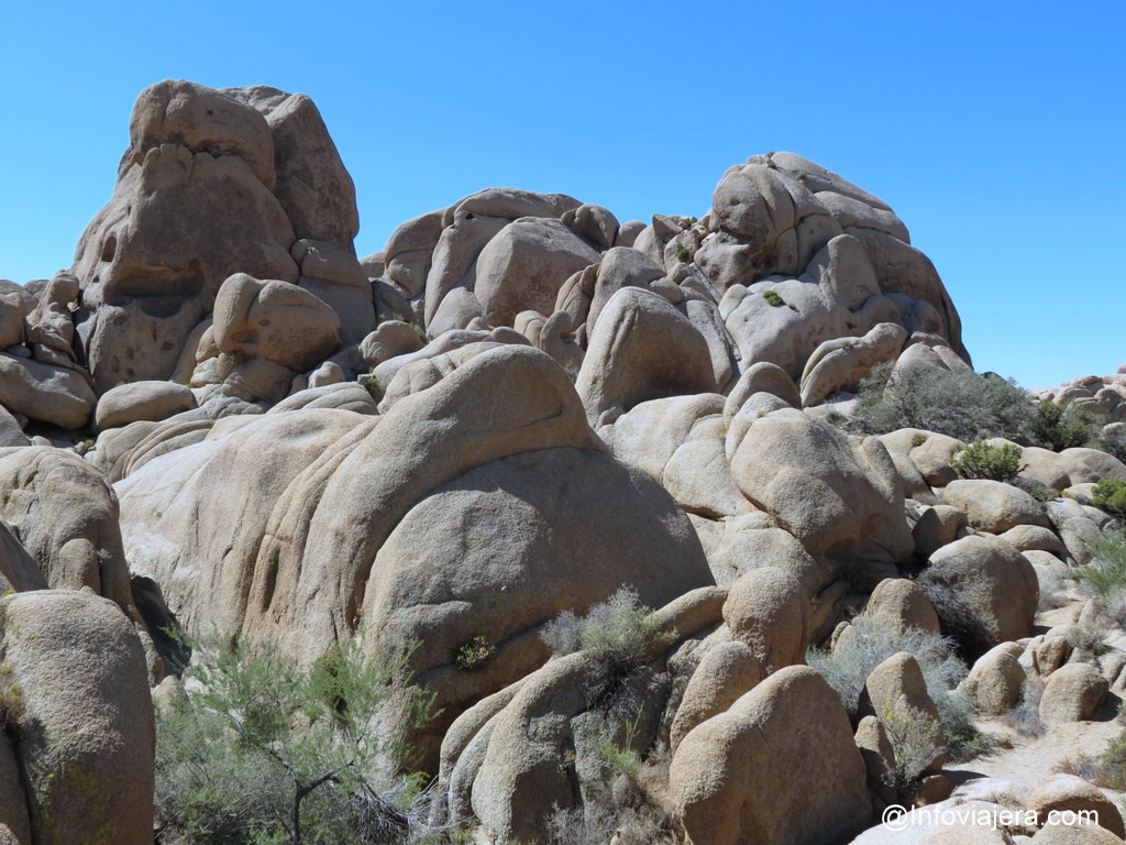 Palm Spring11