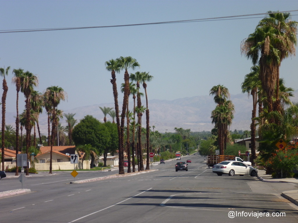 Palm Spring22