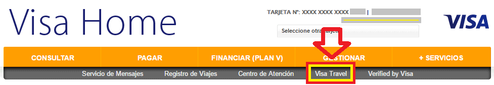 Visa Travel Assistance