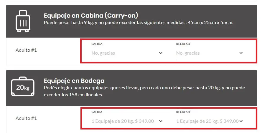 Flybondi: equipaje pago e incursión en el camino del mal marketing - Info  Viajera
