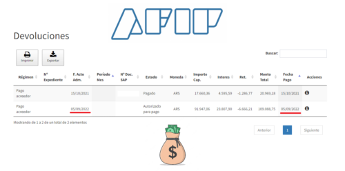 Aparecieron nuevas devoluciones de las percepciones del 35% de AFIP del ...